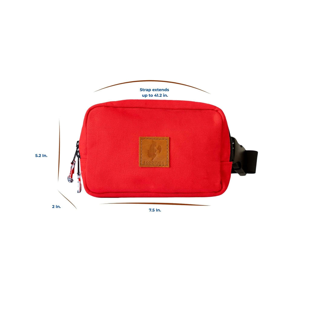 Canvas Crossbody Belt Bag Pouch, The Everywhere Belt Bag 1L